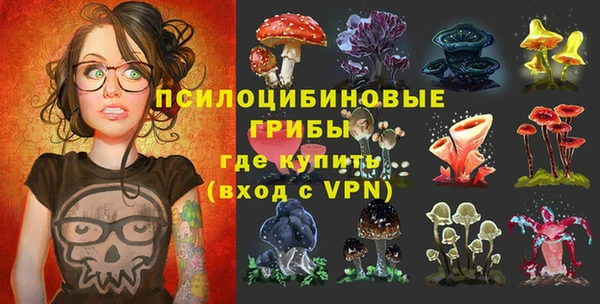 дурь Новокубанск