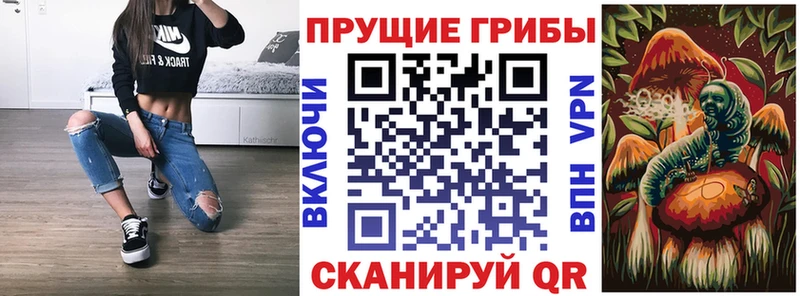 площадка как зайти  Луза  Псилоцибиновые грибы Psilocybe 